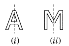 Symmetry Class 7 Extra Questions Maths Chapter 14 Q1