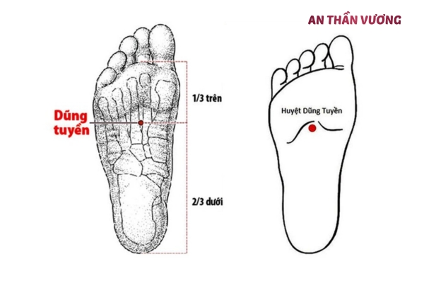 5 huyệt đạo giúp cải thiện tình trạng khó đi vào giấc ngủ 