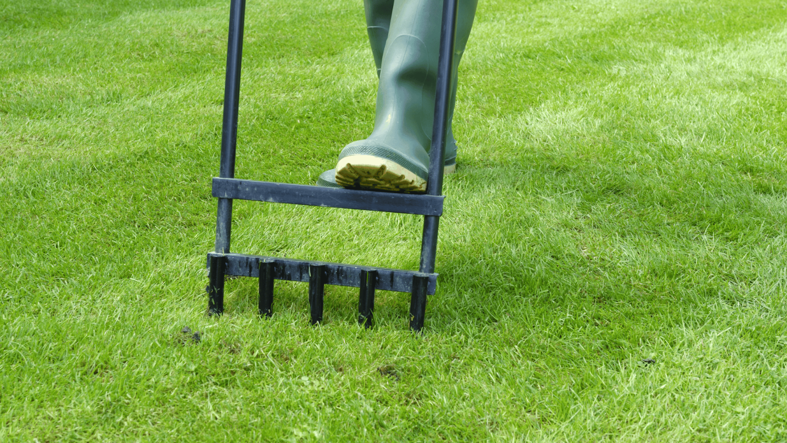 Late Summer Actions: Preparing for Transition