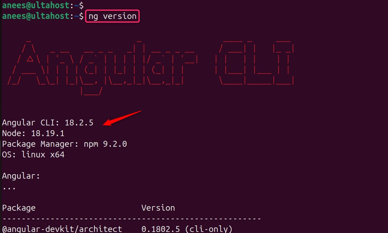 verify angular installation