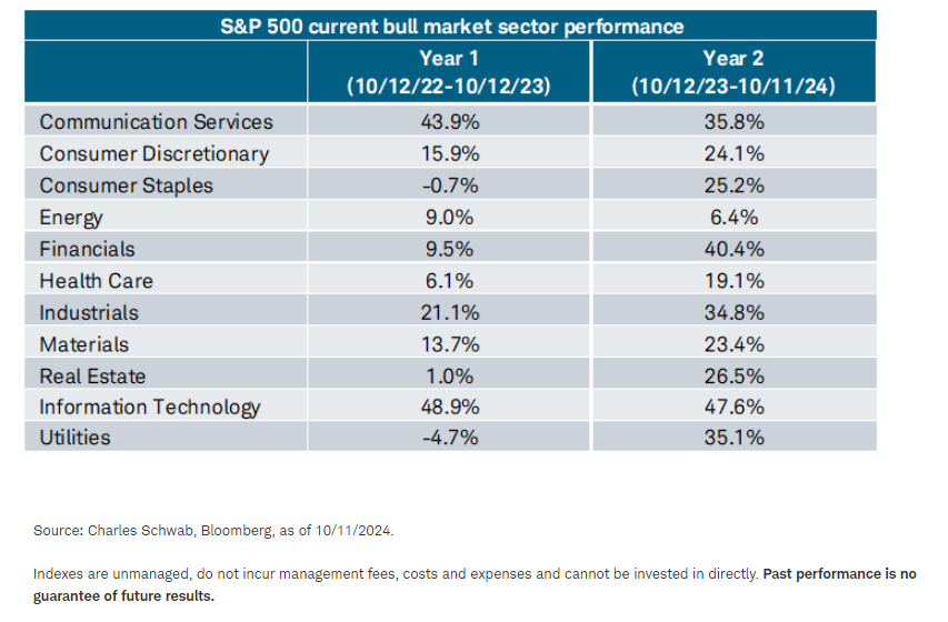 SP500 current bull market sector performance