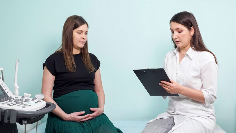 Highest Paying Surrogate Agency