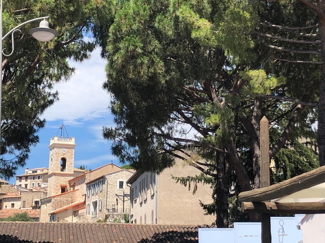A tree with buildings and a building in the background

Description automatically generated