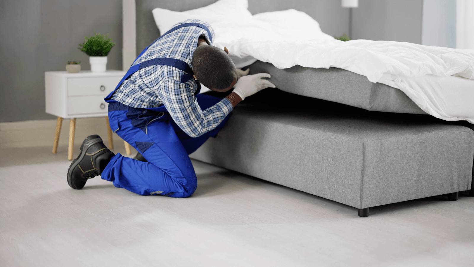 A specialist performing bed bug removal Dallas service, thoroughly inspecting a mattress and bed frame for signs of infestation in a residential bedroom.