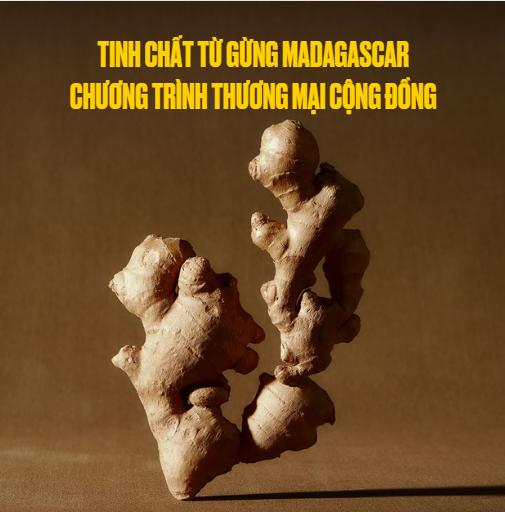  The Body Shop ra mắt dòng chăm sóc thuần chay Ginger với sức mạnh từ rễ gừng Madagascar