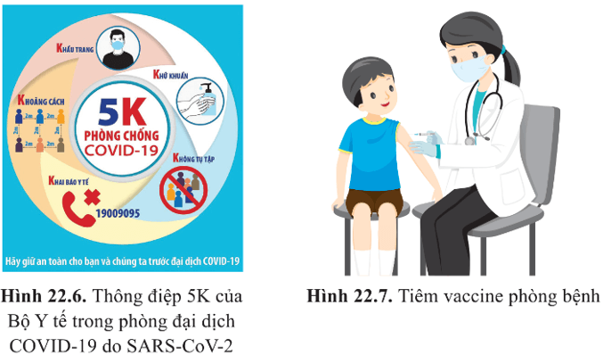 BÀI 22 - PHƯƠNG THỨC LÂY TRUYỀN, CÁCH PHÒNG CHỐNG VÀ ỨNG DỤNG CỦA VIRUS