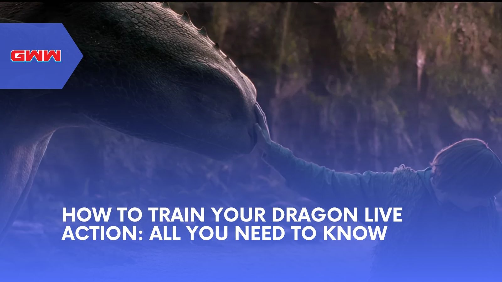 How to Train Your Dragon Live Action: All You Need to Know