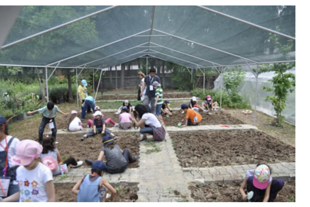 A group of people working in a garden

Description automatically generated