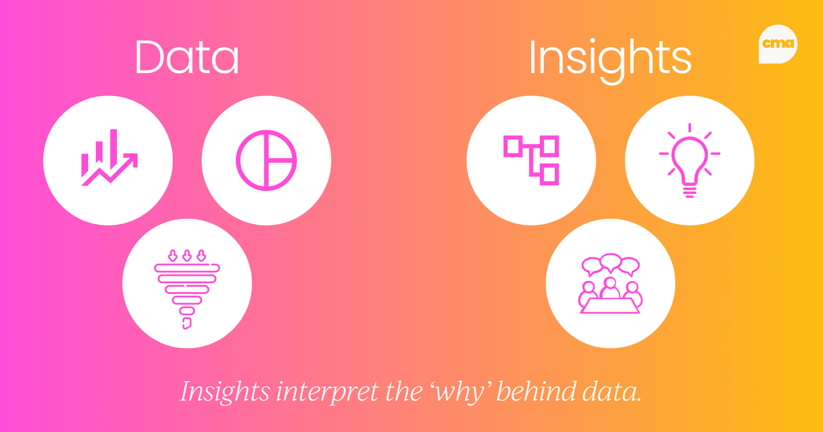 Data & insights