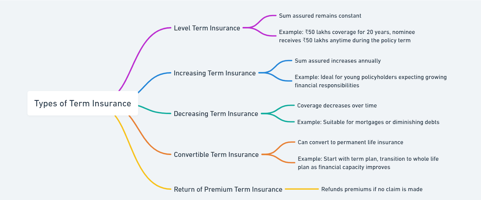 explain the term insurance