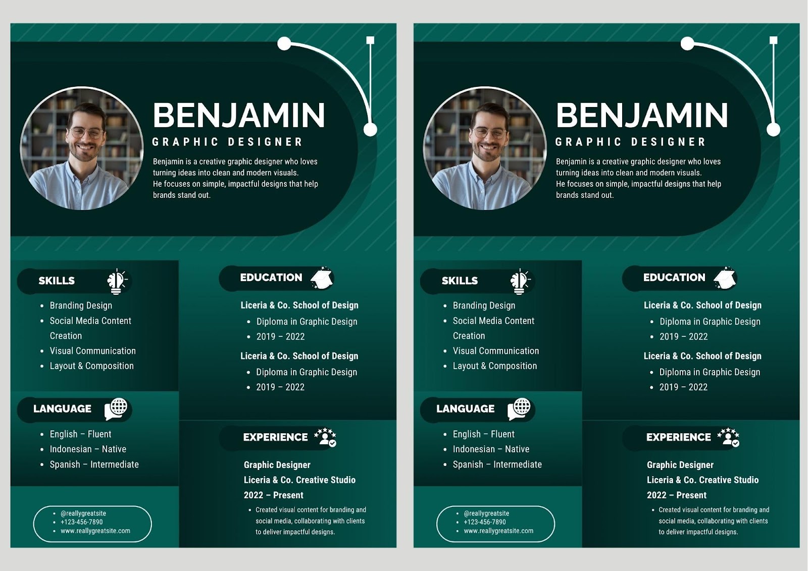 Modern Resume Sample Ideas - essential elements