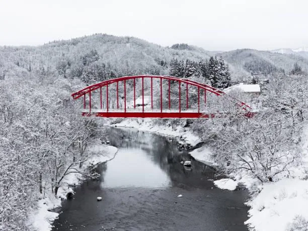 25 Riverbanks Lined with Seasonal Beauty, riverbanks, seasonal charm, nature, landscape, nature edge, flowing beauty