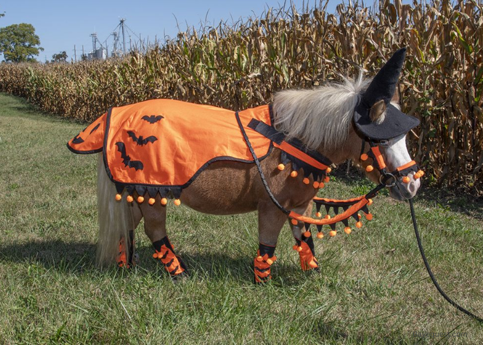 Horse Costume Ideas