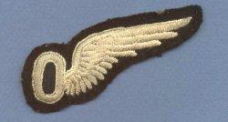 http://www.ww2wings.com/wings/britainraf/observer/images/gowanrafobserverfrtsm.jpg