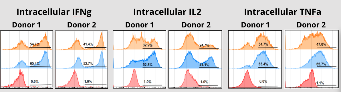 Intracellular Cytokine measurement