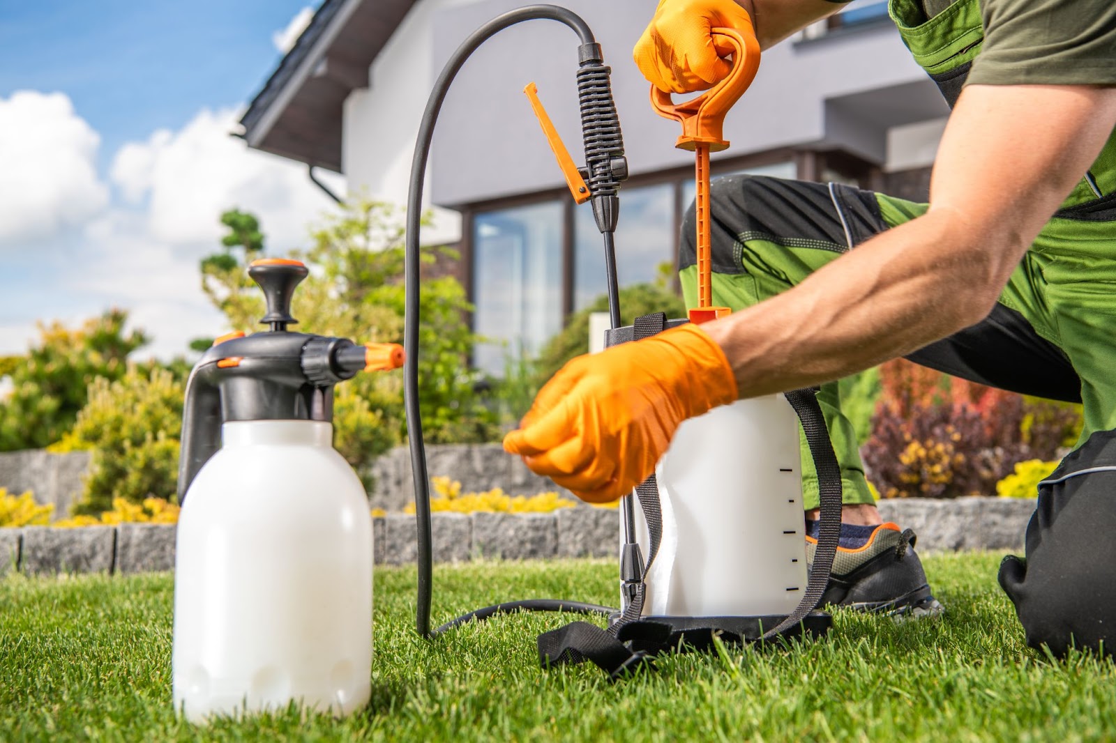 Worker in gloves setting up pest control sprayer for eco-friendly application in residential yard.