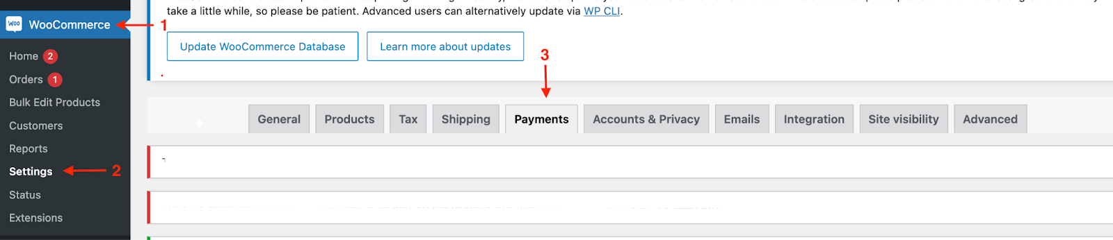 Woocommerce payment