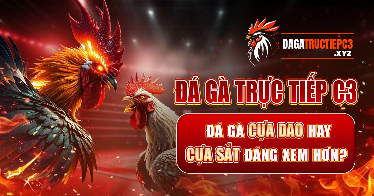 Đá gà trực tiếp C3 - Đá gà cựa dao hay cựa sắt đáng xem hơn?