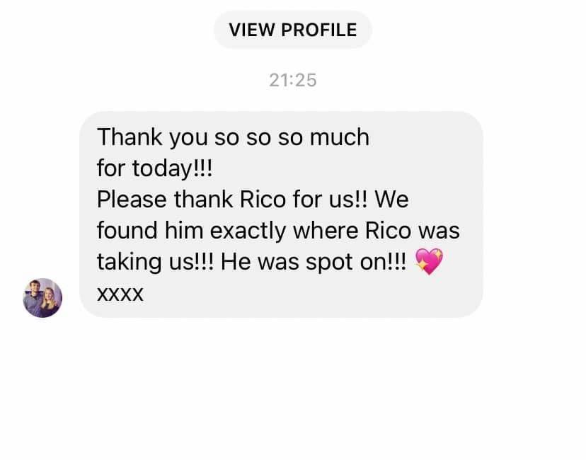 image shows a social media message showing that Rico the dog found missing dog henry