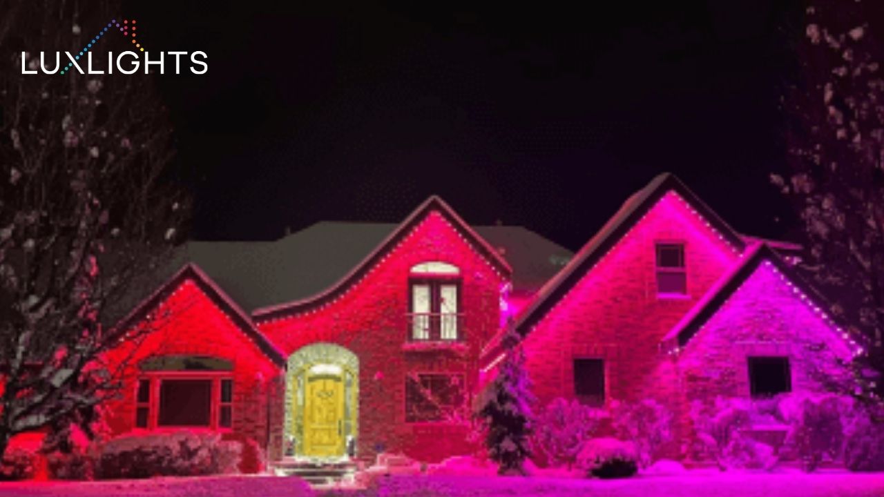 red and purple Lux Lights