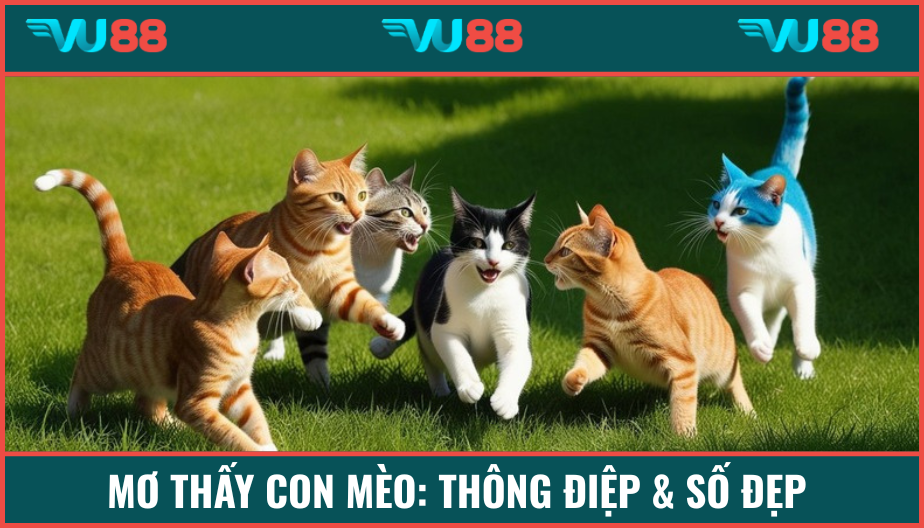 Mơ Thấy Con Mèo: Thông Điệp Và Số Đẹp Dành Cho Cược Thủ