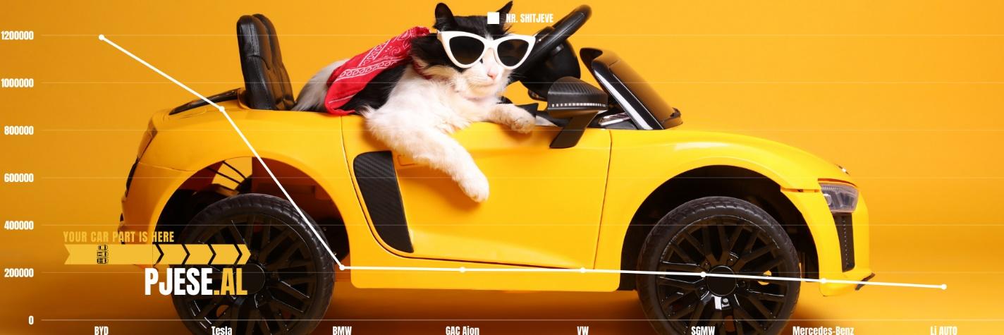 A cat in a car

Description automatically generated