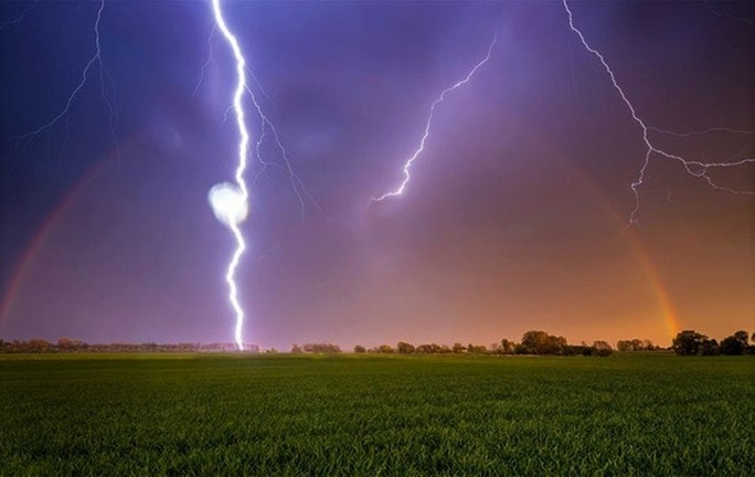Bệnh nứt thân, xì mủ: Nguyên nhân, triệu chứng & cách phòng trị