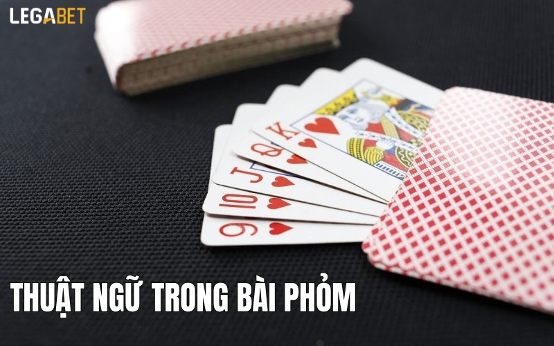 Thuật ngữ cơ bản trong bài Phỏm