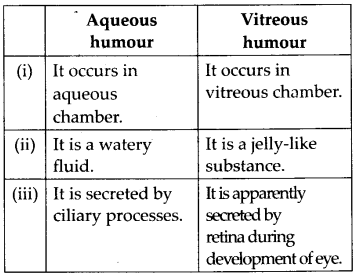 NCERT Solutions For Class 11 Biology Neural Control and Coordination Q12.1