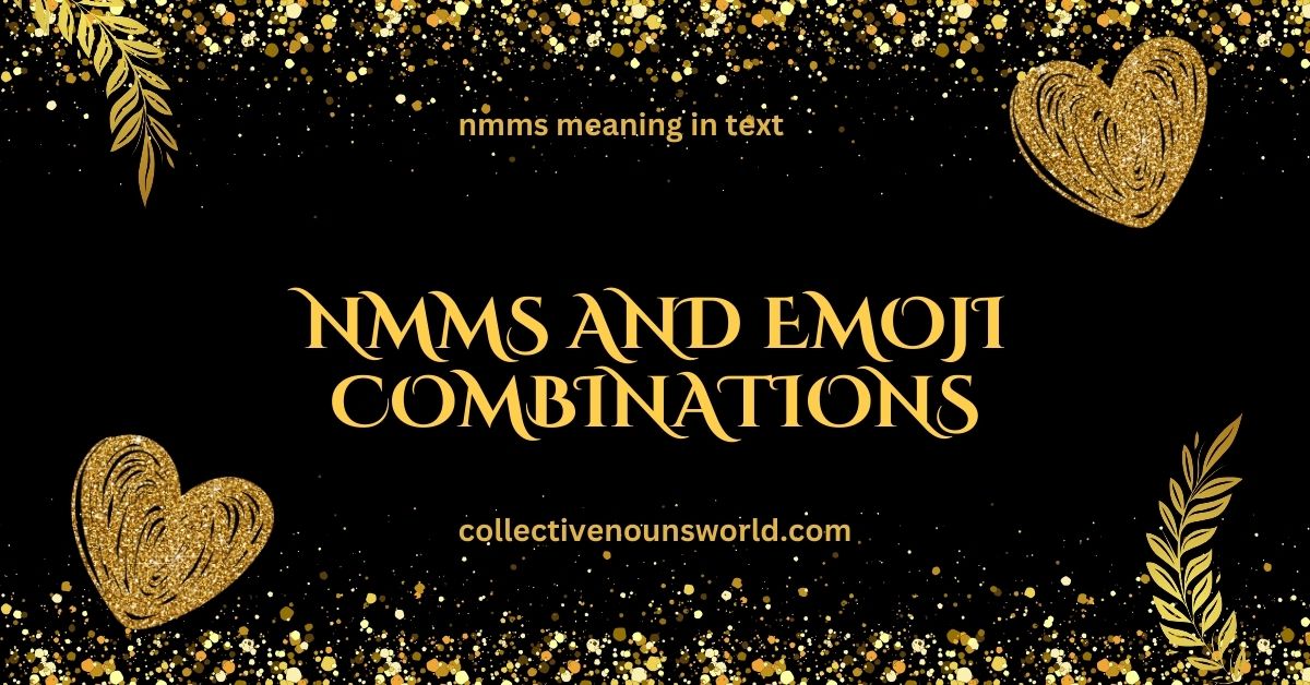 NMMS examples