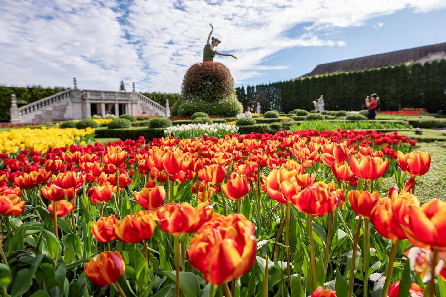 X:\1. TÀI LIỆU CHUNG\Tài liệu chung Sun World\Sun World Ba Na Hills\Hình ảnh - Video\Năm 2025\ẢNH\Bà Nà 01.03\_MAY1150.jpg