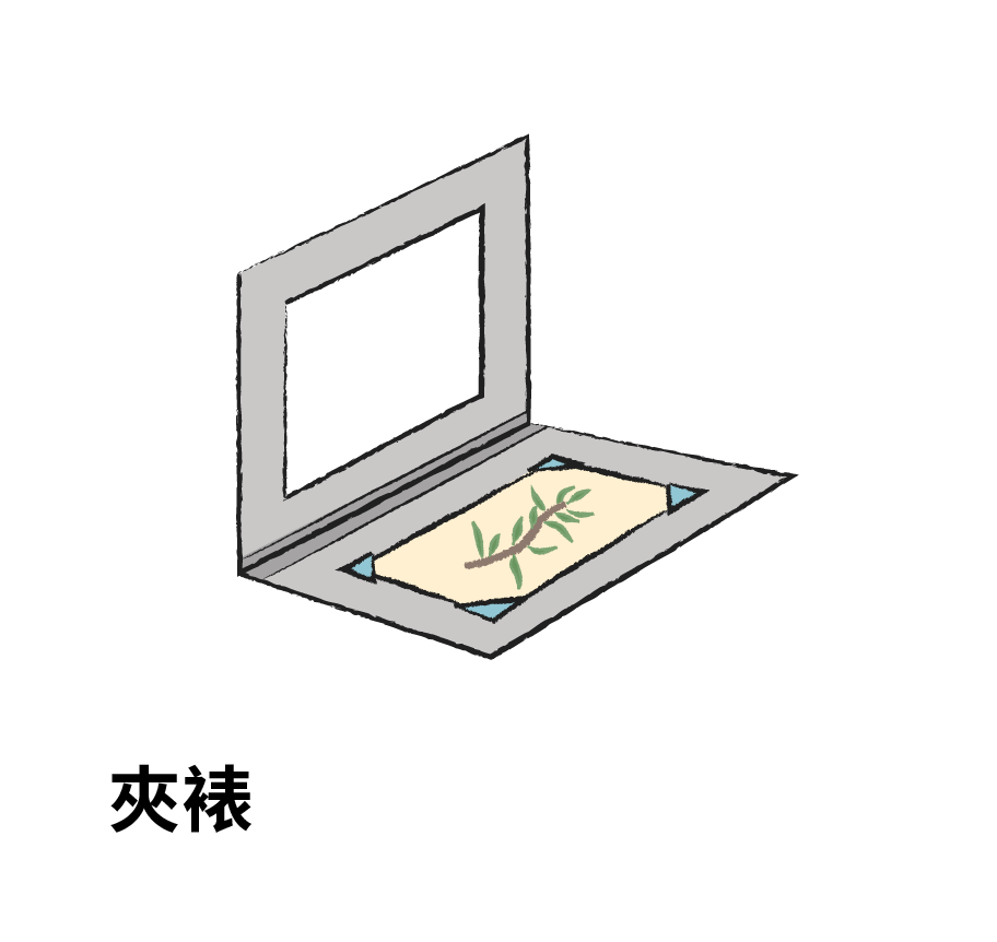 夾裱