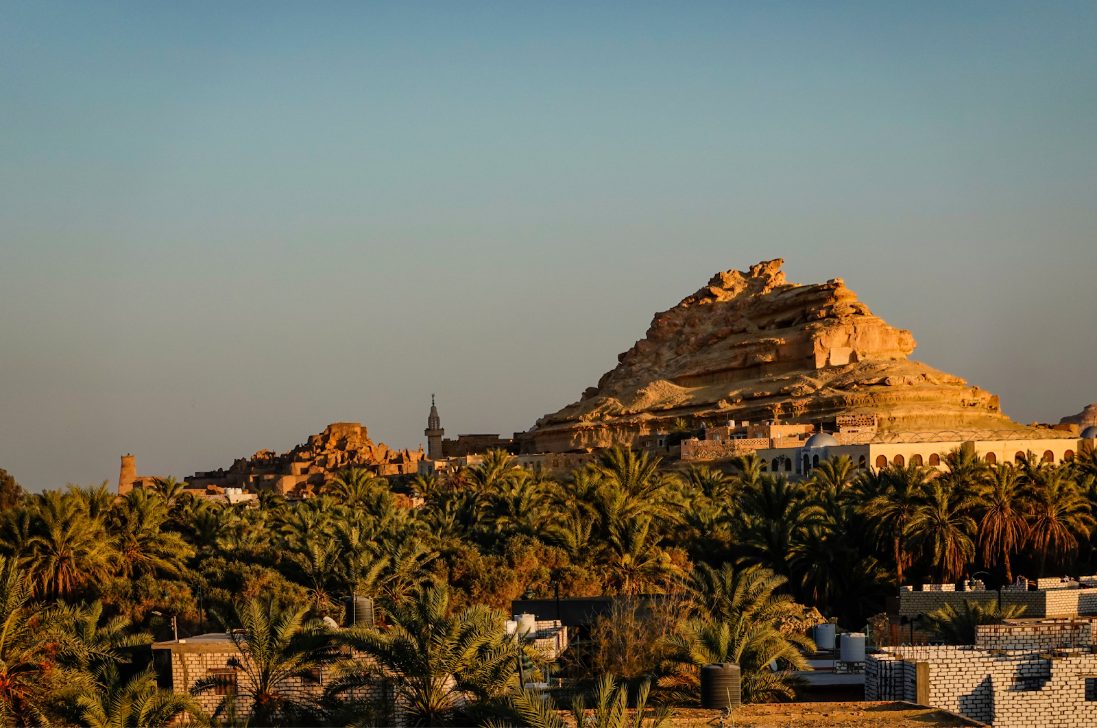 A panoramic view of the Siwa Oasis in Egypt, showcasing the mountain formations, the palm trees, and the small village nestled in the valley.