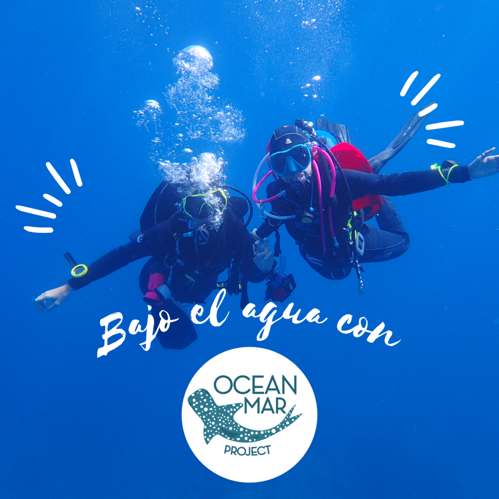 Bajo el agua con oceanmar Project