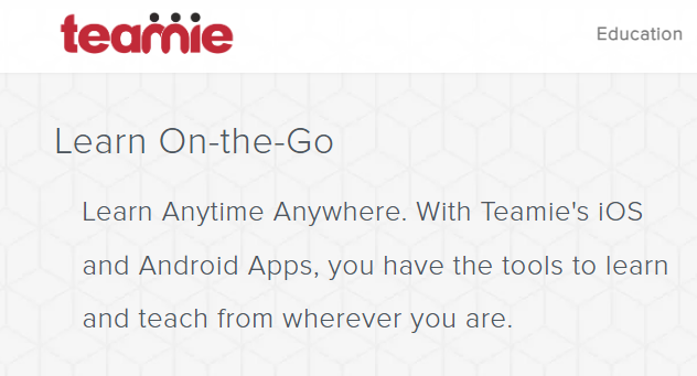 Teamie – Best For Remote Teams