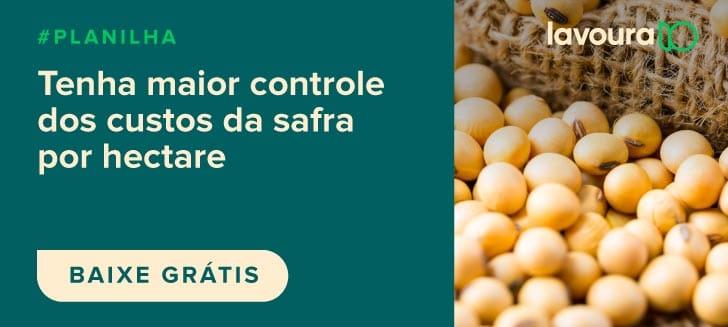 planilha controle de custos por safra