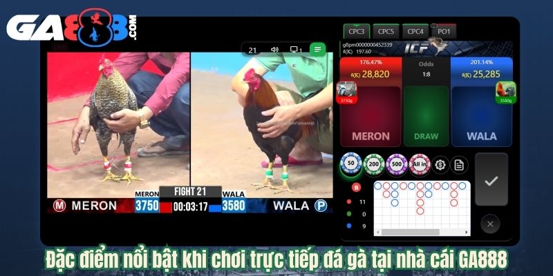 Đặc điểm nổi bật khi chơi trực tiếp đá gà tại nhà cái GA888