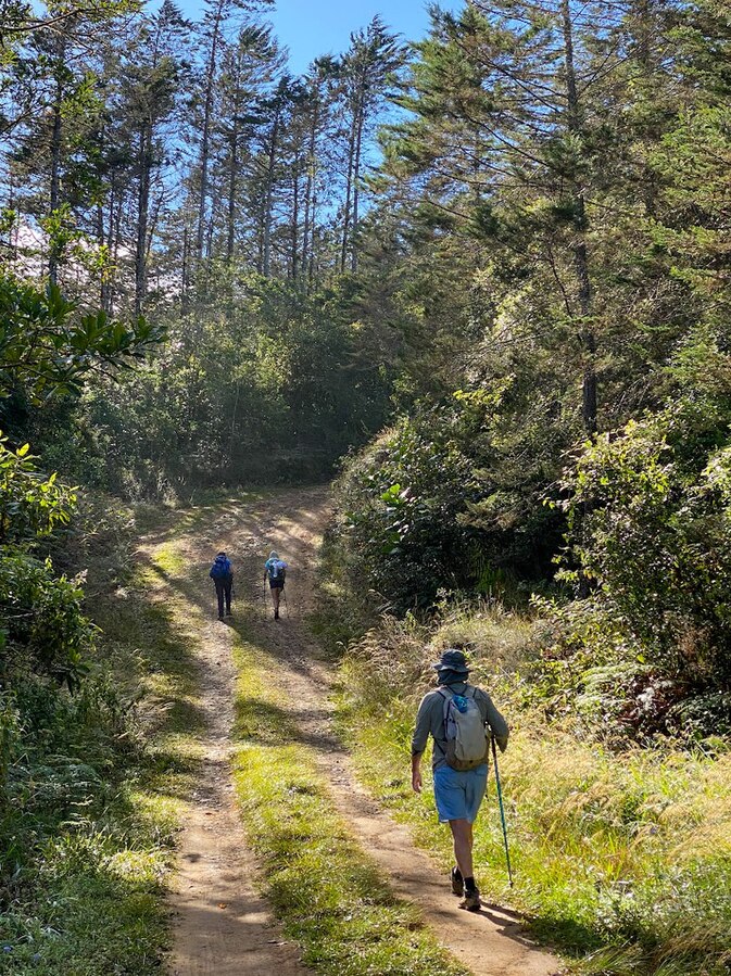 a man hiking to Costa Rica waterfalls 