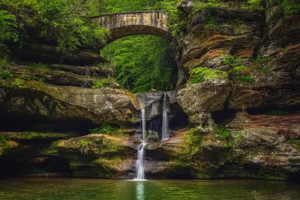 From Mountains to Forests: 20 Stunning Vistas, mountain photos, forest landscapes, nature, forest, landscape, nature variety, wide scenery
