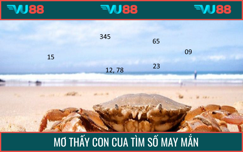 Những con số gợi ý tuyệt vời cùng giấc mơ thấy cua