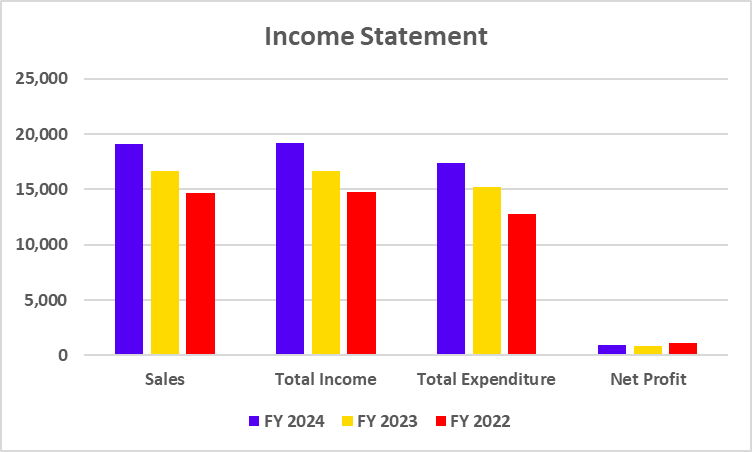 Income Statement of Apollo Hospitals