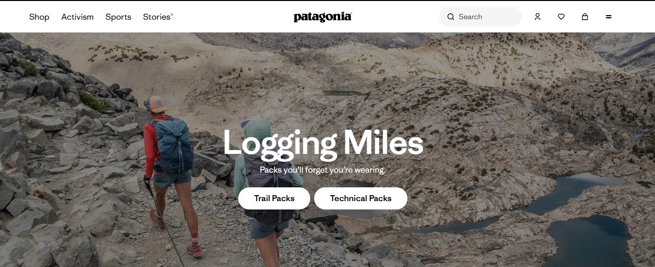 Patagonia home page - brand identity