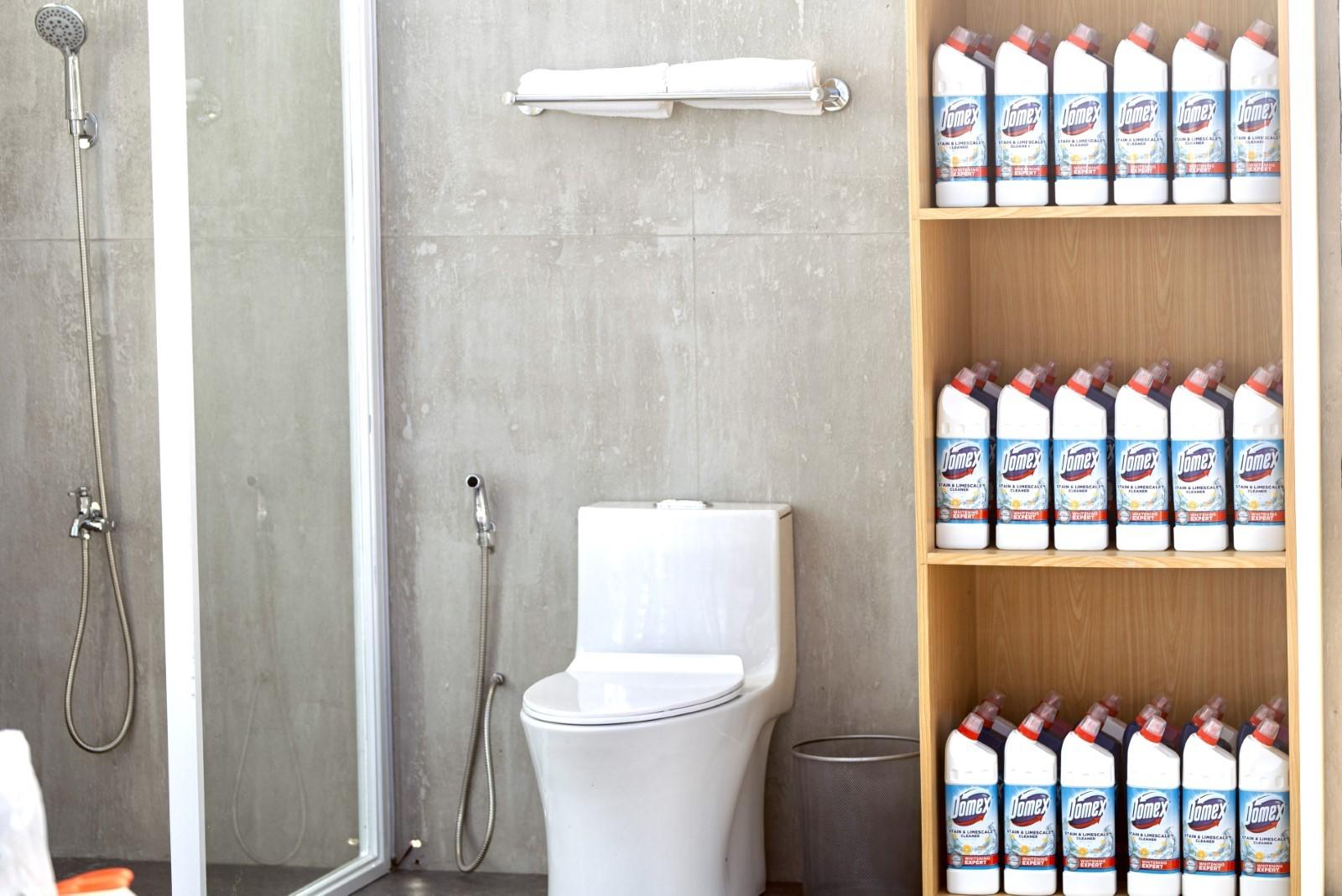 A toilet and cleaning supplies on shelves

Description automatically generated