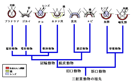 18-zu01