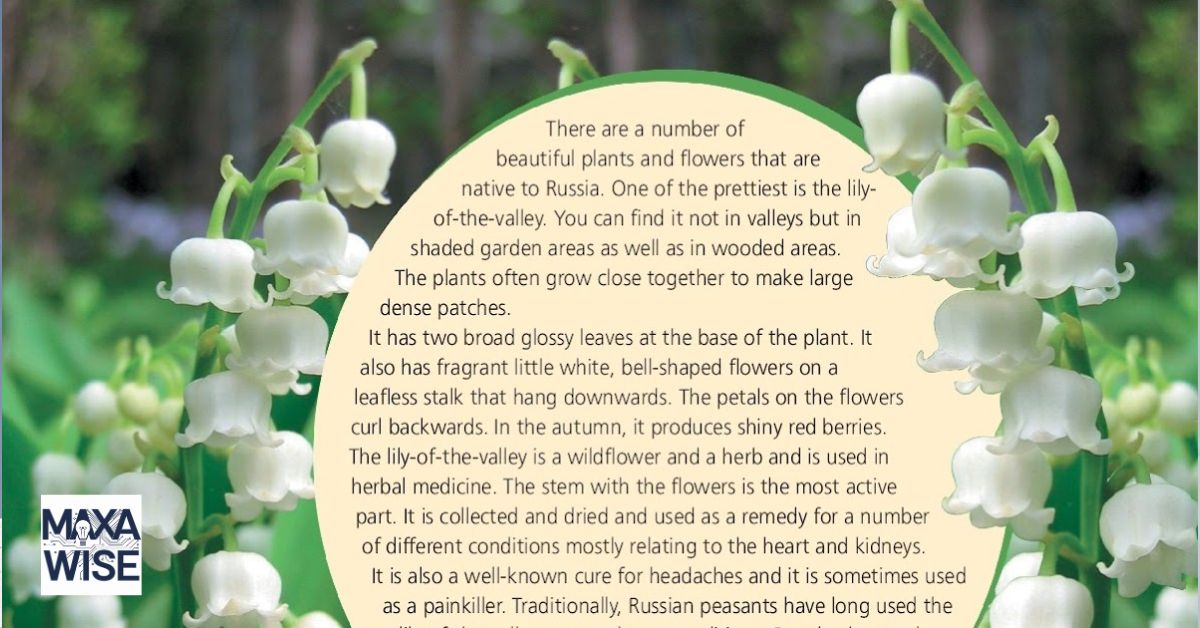 Lily of the Valley Meaning