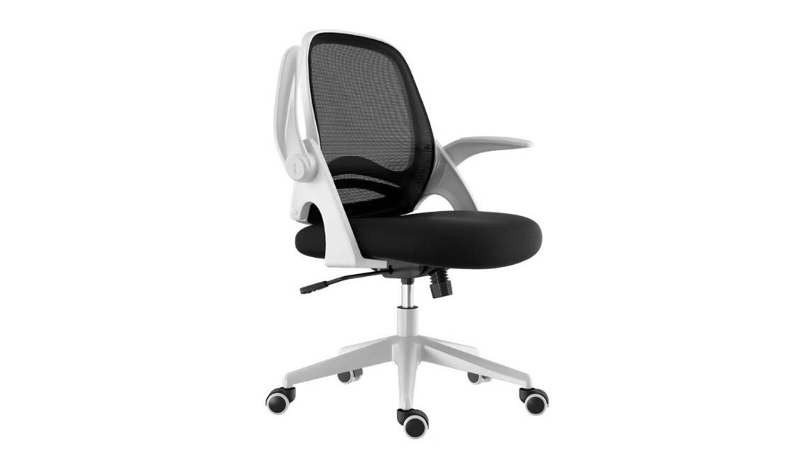 Hbada Ergonomic Office Chair