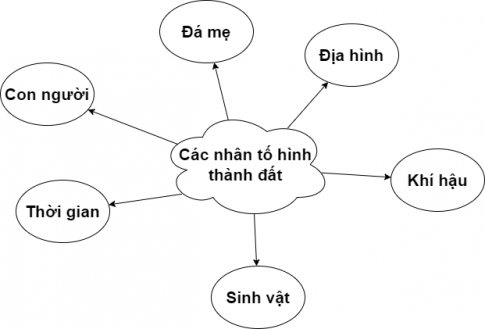 BÀI 14: ĐẤTI. ĐẤT VÀ LỚP VỎ PHONG HÓACâu 1: Dựa vào hình 14.1 và thông tin trong bài, em hãy:- Trình bày khái niệm về đất.- Phân biệt đất và lớp vỏ phong hóa.Gợi ý đáp án: * Đất: Là lớp vật chất tơi xốp ở bề mặt lục địa, được đặc trưng bởi độ phì. * Phân biệt đất và lớp vỏ phong hóa:  - Thành phần: + Đất: Các chất vô cơ, hữu cơ, nước, không khí.+ Lớp vỏ phong hóa: là kết quả của các quá trình phong hoá   - Vị trí:+ Đất: Là lớp vật chất tơi xốp ở bề mặt lục địa.+ Lớp vỏ phong hóa: Lớp sản phẩm vụn thô ở phần trên cùng của vỏ Trái ĐấtII. CÁC NHÂN TỐ HÌNH THÀNH ĐẤTCâu 2: Dựa vào hình 14.2 và thông tin trong bài, em hãy:- Kể tên các nhân tố hình thành đất.- Trình bày vai trò của các nhân tố hình thành đất.Gợi ý đáp án: 1. Đá mẹ: là những sản phẩm phong hóa, cung cấp vật chất vô cơ cho đất, những loại đá mẹ khác nhau sẽ không giống nhau về thành phần khoáng vật, cấu trúc, tính chất lí  hóa và cả màu sắc. 2. Địa hình:  - Độ cao: ảnh hưởng đến quá trình hình thành đất  - Độ dốc: ảnh hưởng đến độ dày tầng đất và chất dinh dưỡng trong đất  - Hướng địa hình: ảnh hưởng đến nhiệt ẩm và mùn trong đất  - Hình thái địa hình: nơi trũng ngập nước thường xuyên có đất khác với nơi cao ráo thoát nước tốt. 3. Khí hậu: ảnh hưởng đến quá trình hình thành đất. - Là nhiệt và ẩm làm cho đá gốc bị phá hủy thành đá mẹ. - Ảnh hưởng đến việc hòa tan, rửa trôi hoặc tích tụ vật chất trong đất; tạo môi trường cho sinh vật phát triển. 4. Sinh vật: vai trò quan trọng trong quá trình hình thành, bảo vệ đất. - Thực vật cung cấp chất hữu cơ cho đất được vi sinh vật phân giải và tổng hợp thành mùn tạo độ phì cho đất.  - Động vật sống trong đất cũng góp phần cải tạo đất. 5. Thời gian: xảy ra toàn bộ các hiện tượng của quá trình hình thành đất, tác động của các nhân tố hình thành đất. 6. Con người: hoạt động sản xuất khiến đất tốt lên hoặc xấu đi. - Có thể làm tăng độ phì của đất thông qua các hoạt động sản xuất kinh tế và sinh hoạt phù hợp như làm thuỷ lợi, làm ruộng bậc thang,... LUYỆN TẬPCâu 1: Em hãy lập sơ đồ thể hiện các nhân tố hình thành đất.Gợi ý đáp án: Câu 2: Chứng minh rằng khí hậu vừa có ảnh hưởng trực tiếp, vừa có ảnh hưởng gián tiếp đến sự hình thành đất.Gợi ý đáp án: Điều kiện nhiệt ẩm làm cho đá gốc bị phá huỷ thành các sản phẩm phong hóa, rồi tiếp tục bị phong hóa thành đất.=> Các yếu tố khí hậu ảnh hưởng trực tiếp đến sự hình thành đất là nhiệt và ẩm.Thực vật sinh trưởng tốt sẽ hạn chế xói mòn đất, đồng thời cung cấp cho đất nhiều chất hữu cơ. => Khí hậu ảnh hưởng gián tiếp đến sự thành tạo đất thông qua lớp phủ thực vật. VẬN DỤNG