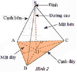 CHƯƠNG 2.  CÁC HÌNH KHỐI TRONG THỰC TIỄNBÀI 1: HÌNH CHÓP TAM GIÁC ĐỀU – HÌNH CHÓP TỨ GIÁC ĐỀU (3 tiết)