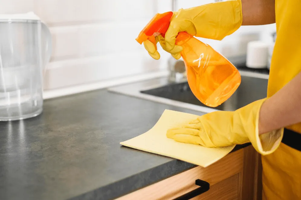 House Cleaning Ashburn, VA: Tricks for a Healthier Home