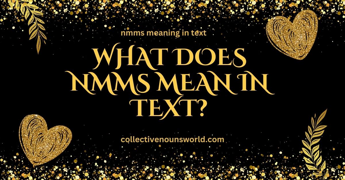 NMMS meaning